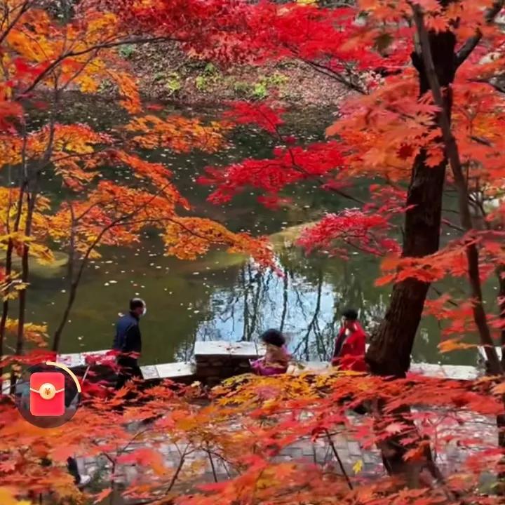 上联:细雨滋芳草
下联:微风佛绿叶