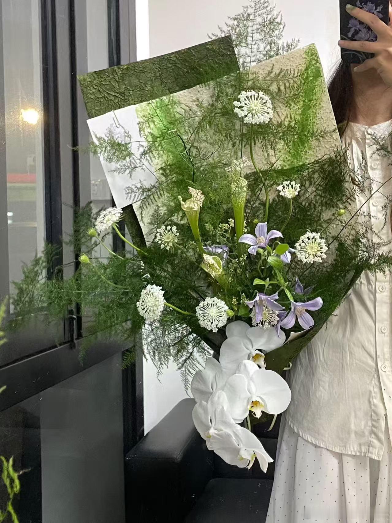 给家里加点生命力 ​​​