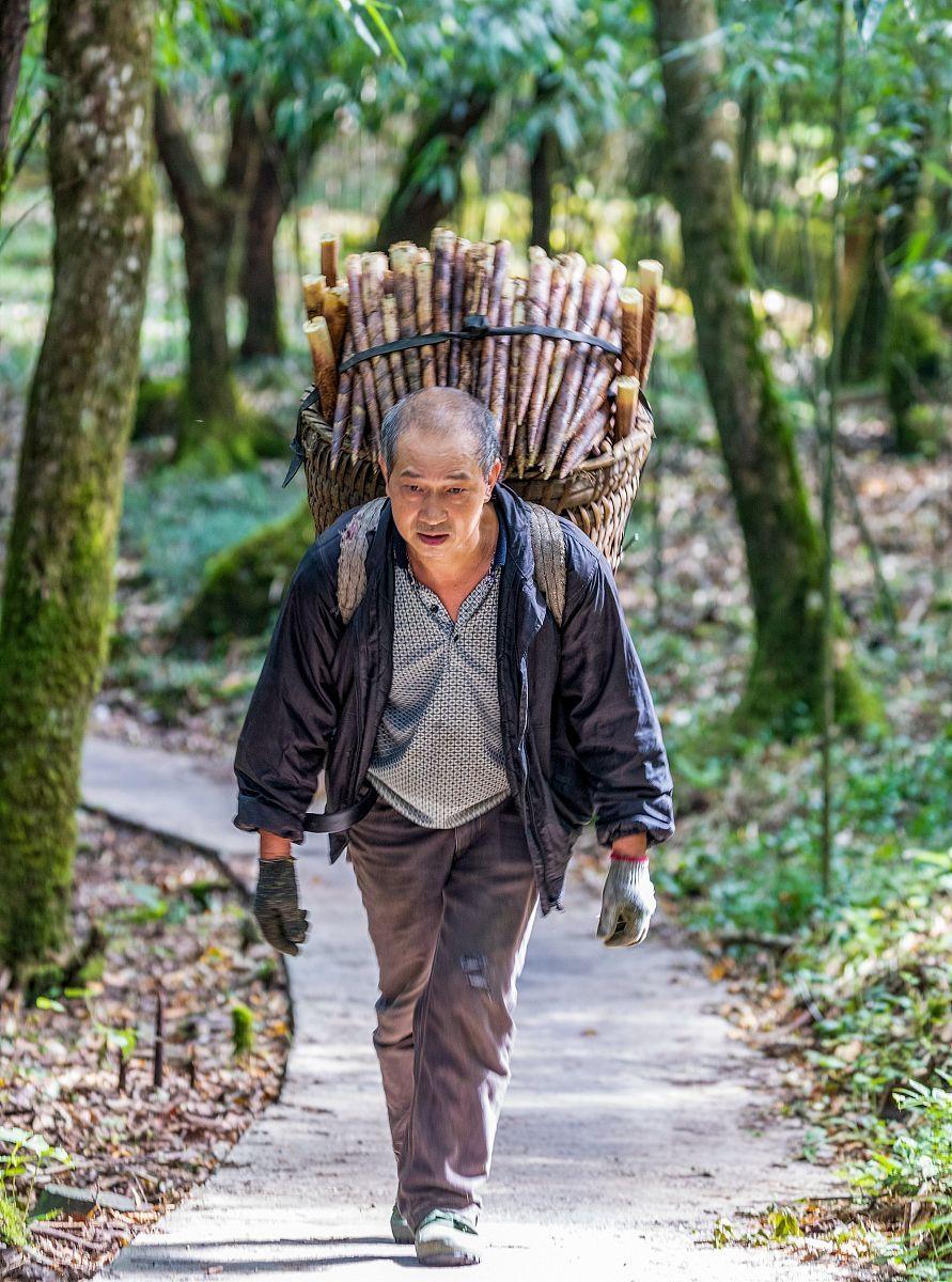 1991年，河北一村民上山砍柴，又累又热，坐在一块石头上歇息，不料这一坐，竟让他
