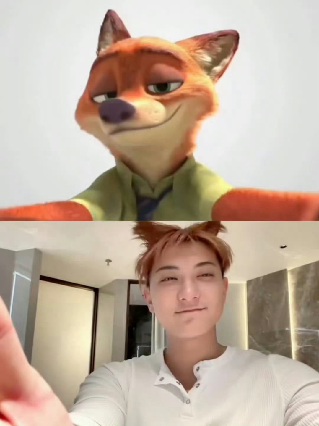 疯狂动物城的粉丝也太幸福了吧，黄子韬和徐艺洋的真人版模仿来了，以后都有代入感了哦