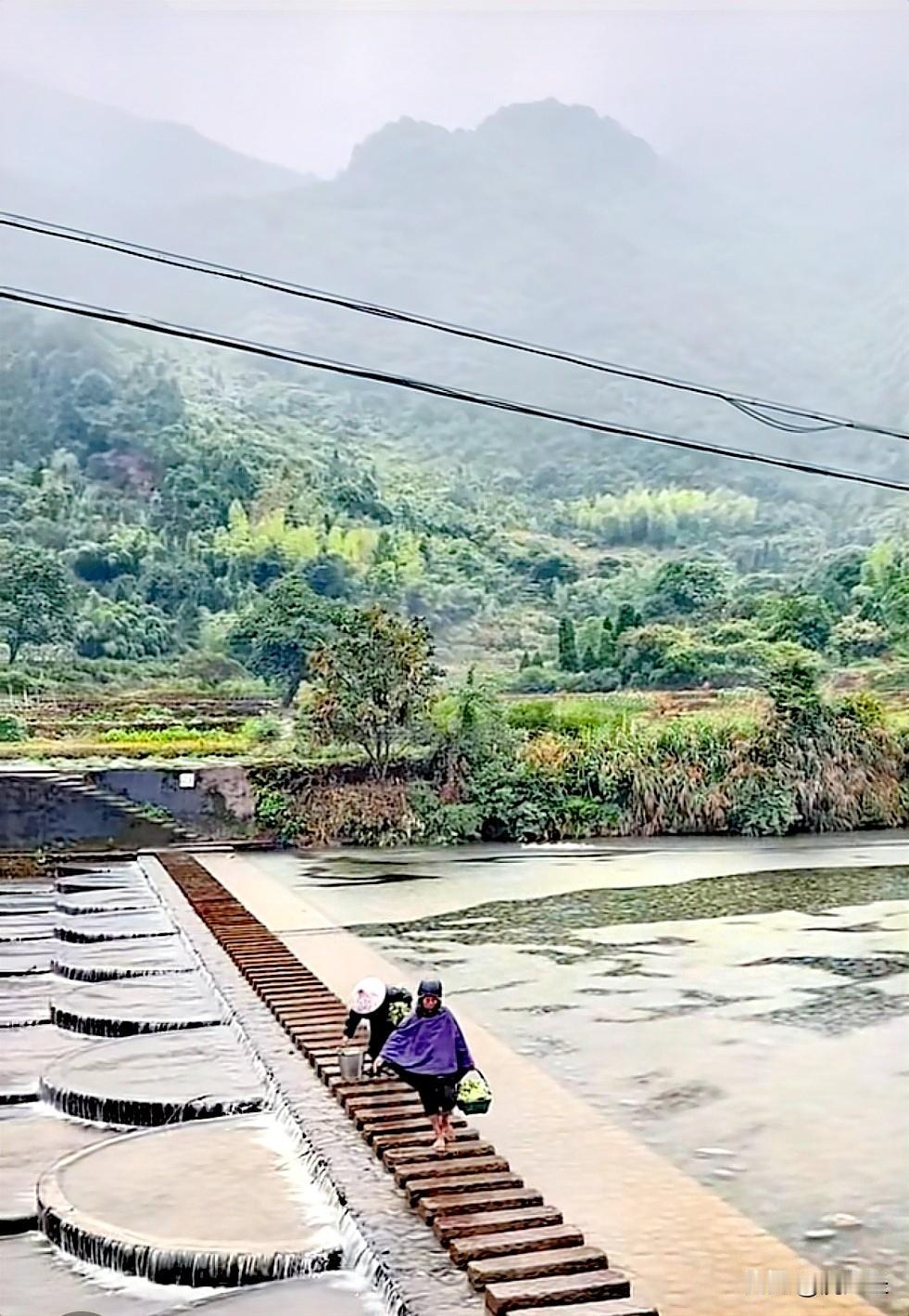 前几天出去玩，拍到了一张超美的过河风景照。画面里是一条水流清澈的小河，河上有一座