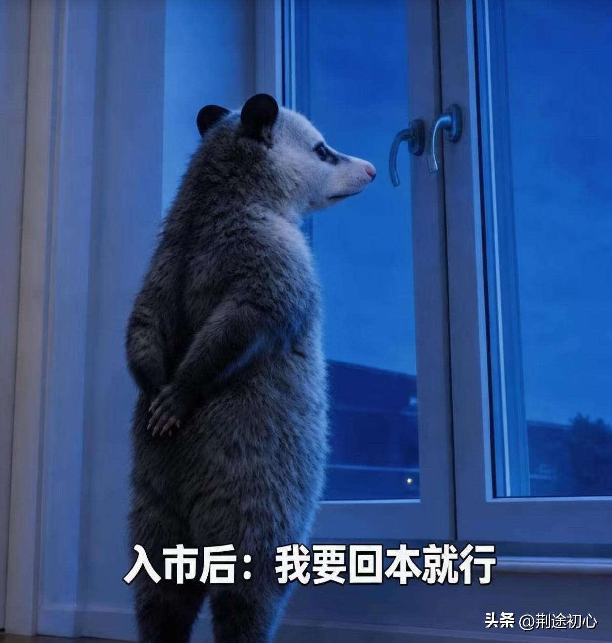 A股为什么总是特立独行？真相可能会让散户朋友们伤心难过，A股的羸弱其实就在咱们广