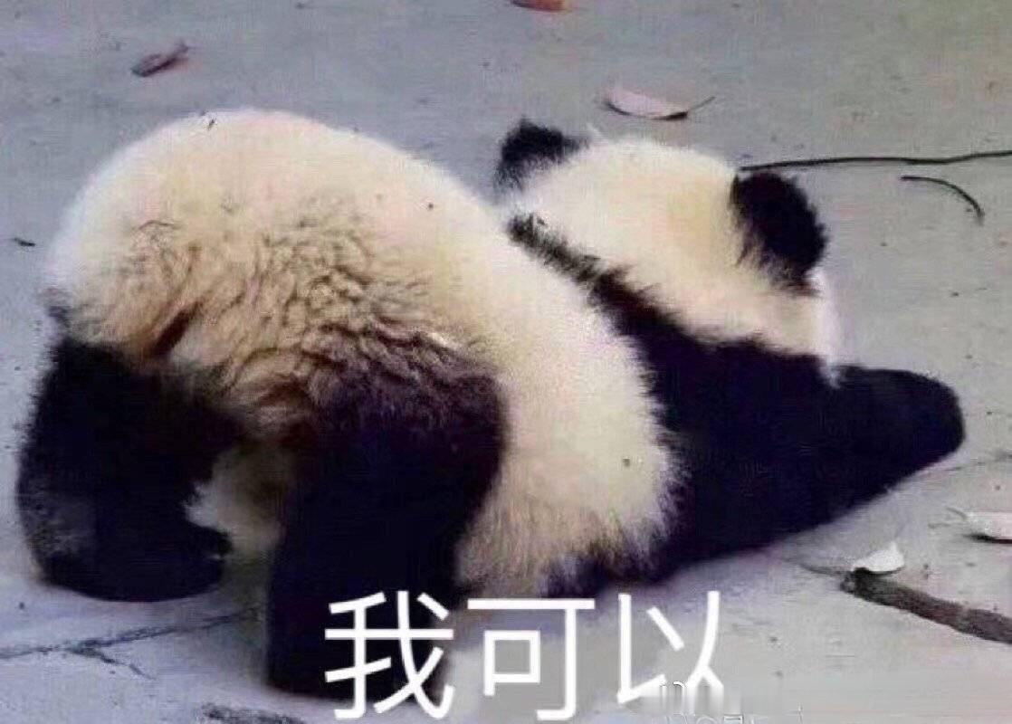 没比赛看好无聊啊，最近的一次比赛还要等到6.28号MSI10多天呢但是这几天俱乐