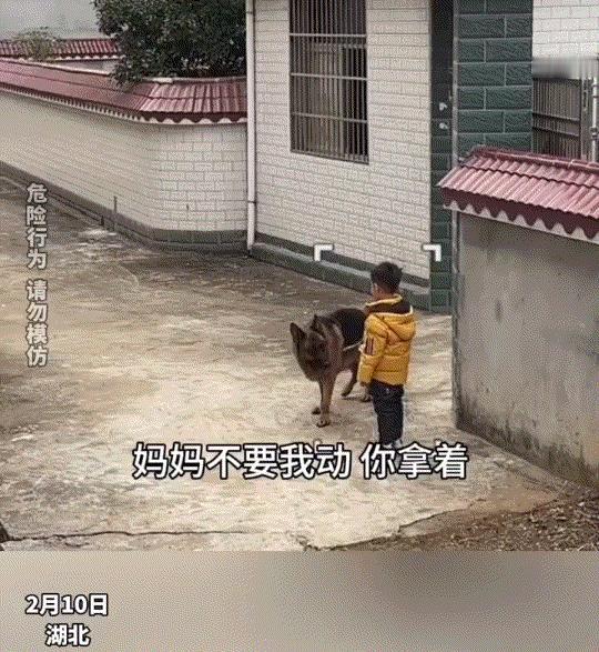 万万没有想到，湖北，一小男孩和自己狗子，在门前点鞭炮迎接爸爸回家，可在点鞭炮的时