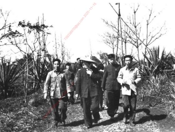 1957年1月中旬，朱德在海南岛西部视察垦殖场。