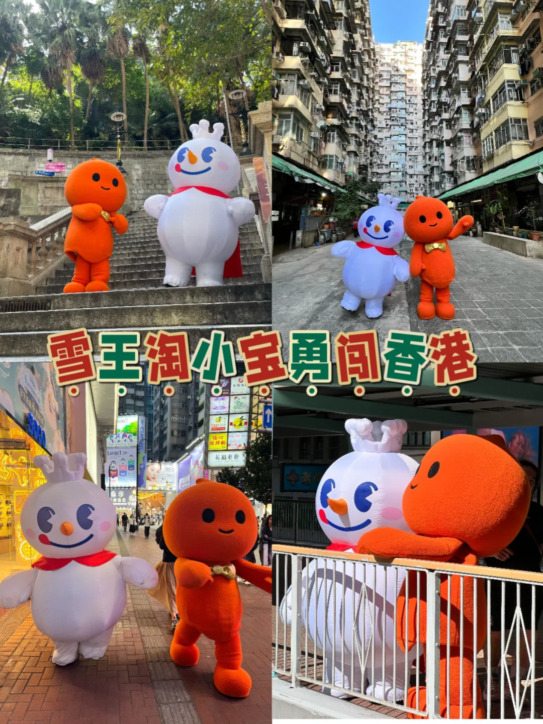 卧卧卧 雪王淘小宝勇闯香港🇭🇰