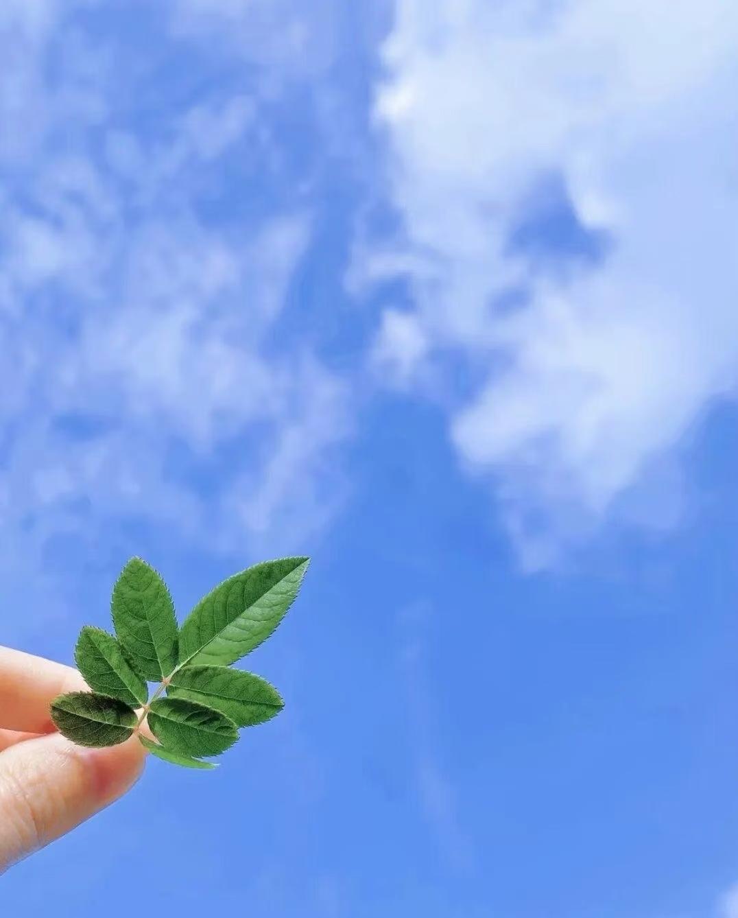 ☀️
美好的一天开始啦！

容颜不负时光
温柔不负自己
安然浅笑，岁月生香
