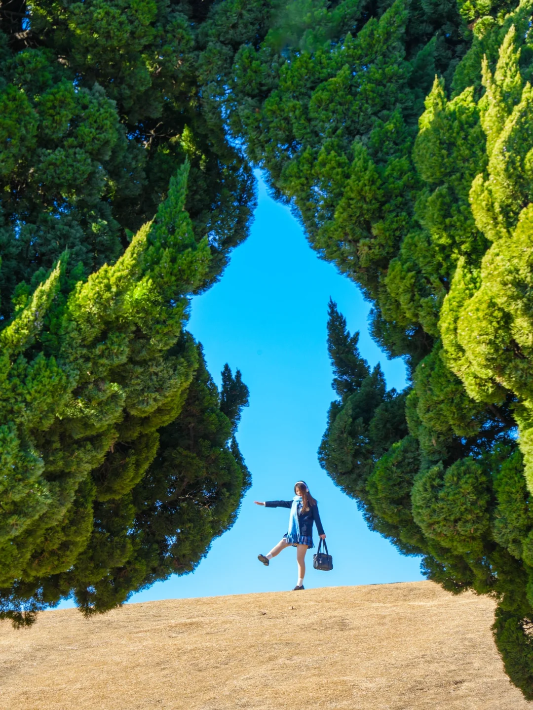 为了这18张图，我特地飞了一趟青岛🌳