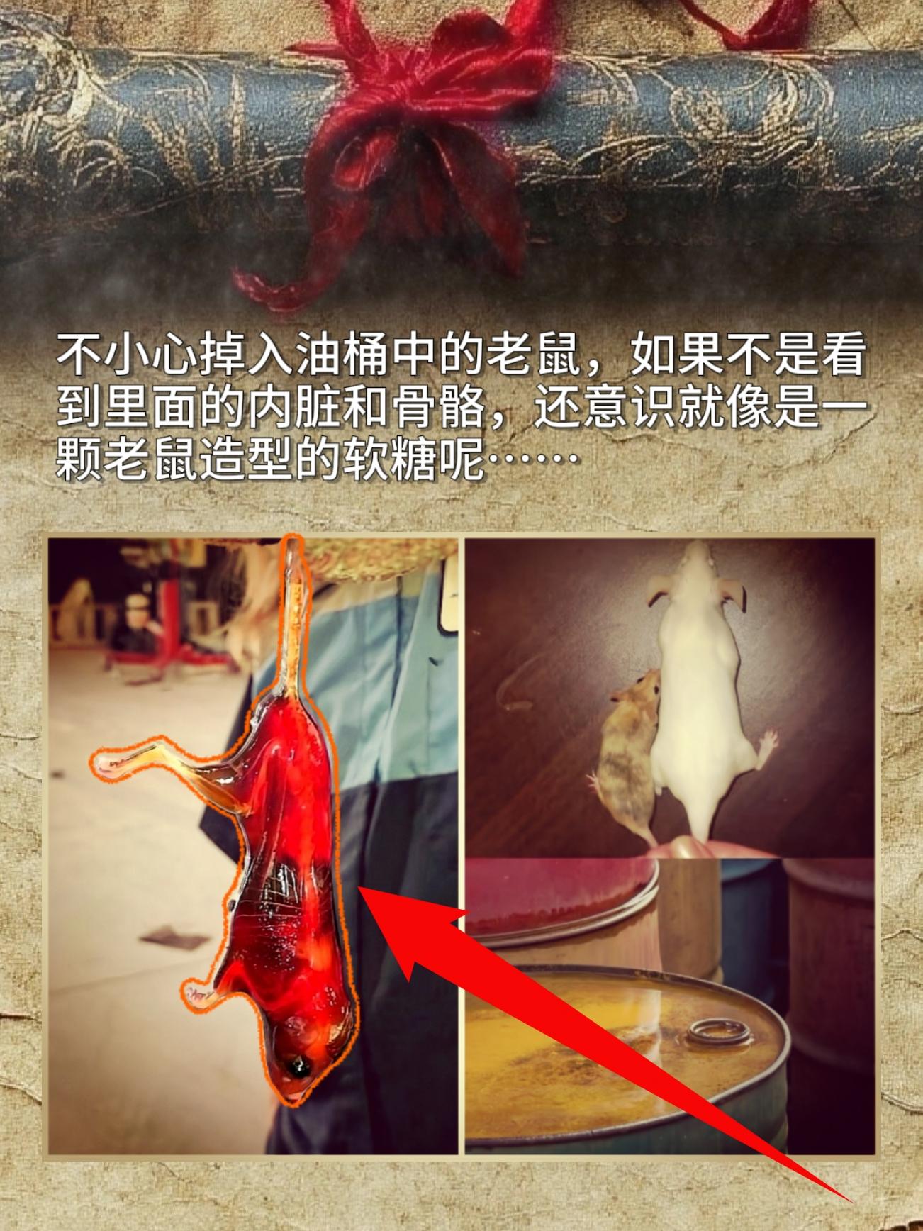 不小心掉入油桶中的老鼠，如果不是看到里面的内脏和骨骼，还意识就像是一颗...