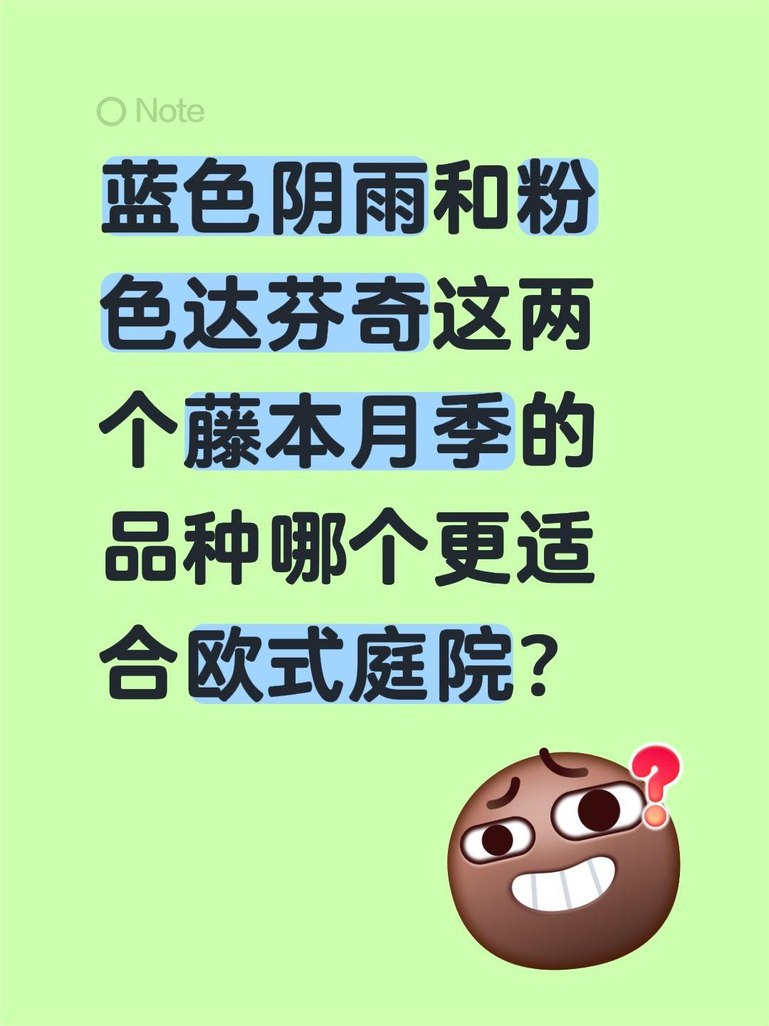 蓝色阴雨和粉色达芬奇哪个更适合欧式庭院？蓝色阴雨和粉色达芬奇这两个藤本月季的品种