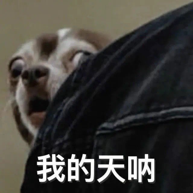 丰富一下你的实用表情包 ​​​