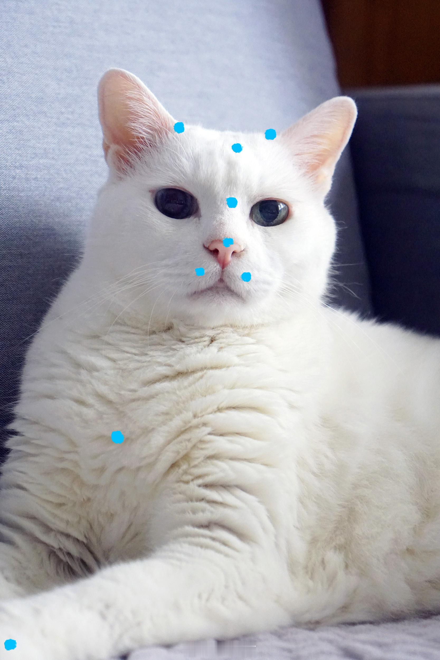 這些點都很好親😏 ​​​