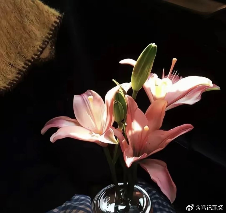先努力让自己发光，对的人才能迎着光而来。 ​​​