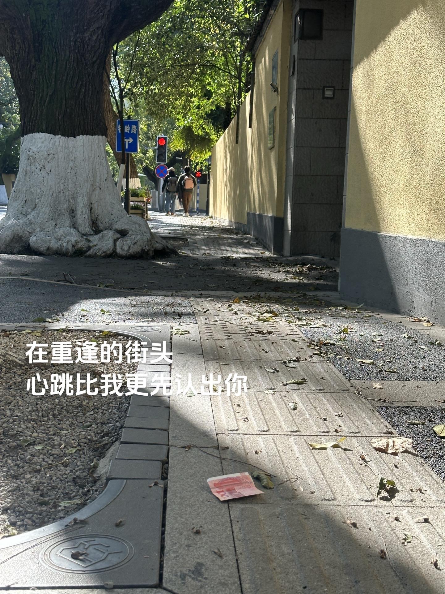 钱辈 在重逢的街头 心跳比我更先认出你