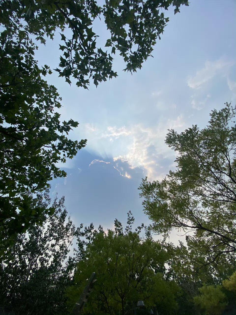 日出东海落西山，愁也一天，喜也一天。情感语录369 ​​​