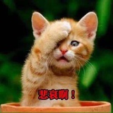 许彤爱聊体育