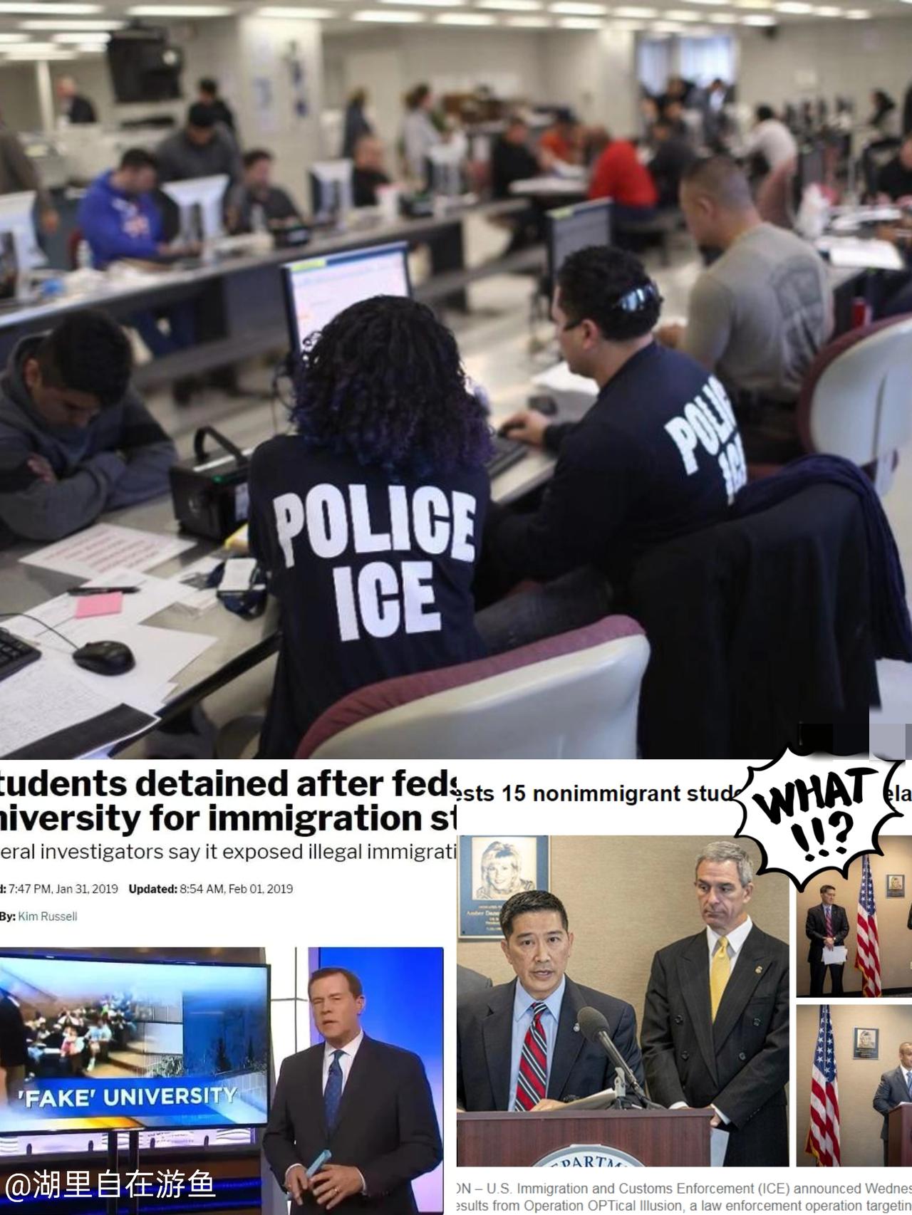 移民局突击查空壳公司这事儿，真得给点个赞！

这哪是查漏洞，分明是把“歪路”直接