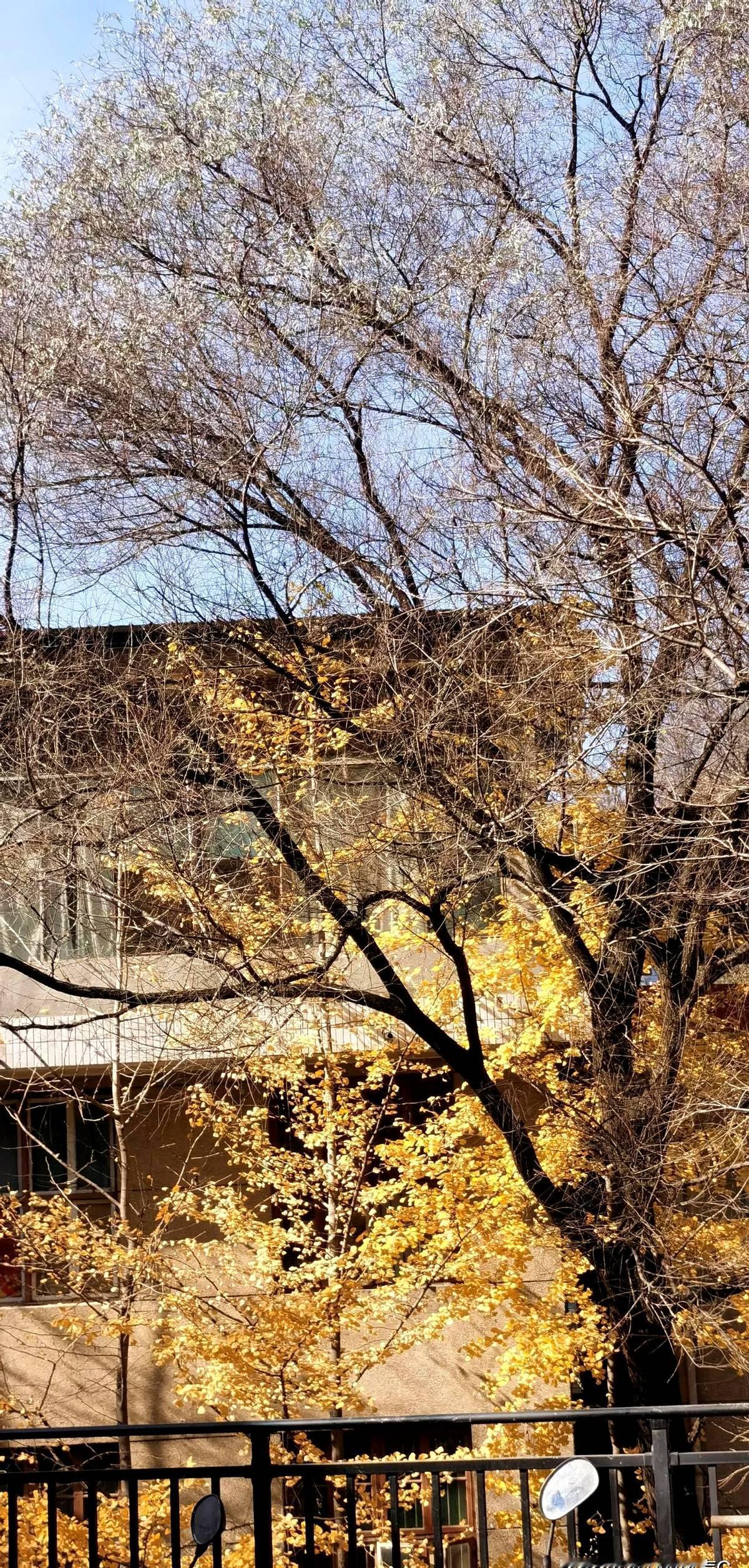 下午到市级部门沟通工作，我这个科长有名无实，像个光杆司令一样，大小事都得自己干自