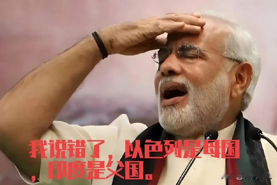 突然提莫迪感到悲哀，莫迪不惜一切跪舔的以色列却对印度不咋感冒。内塔尼亚胡在回应以