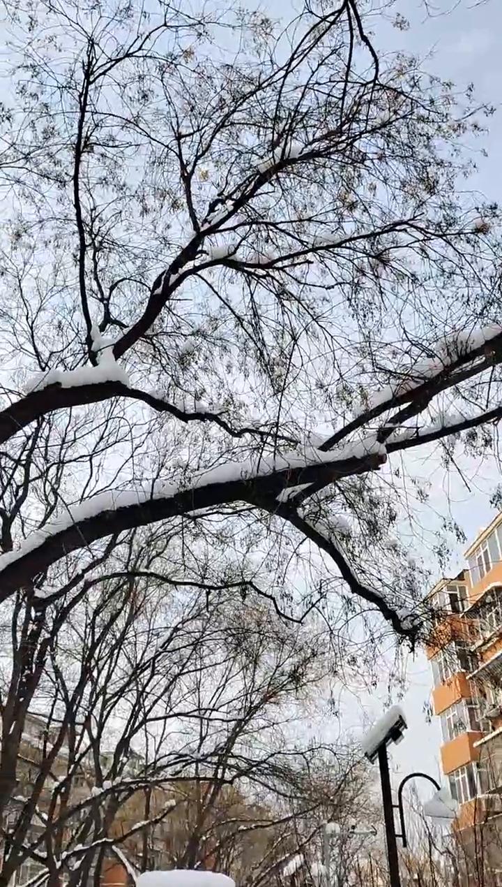 今天腊月初二，大寒节气。