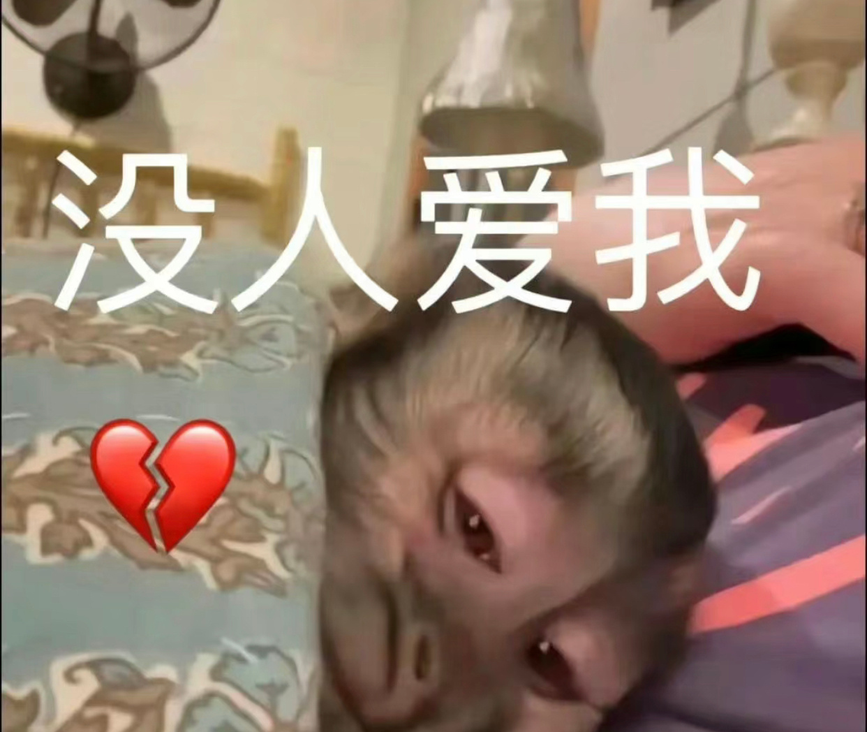 分享一波表情包 ​​​