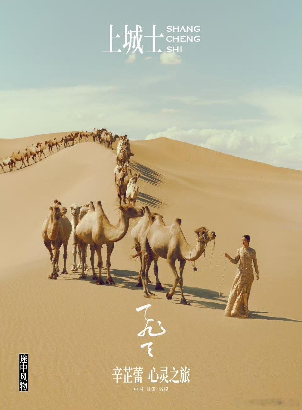 辛芷蕾上城士途中风物新刊封面 🎉取景于敦煌，确实是心灵之旅辛芷蕾上城士封面辛芷