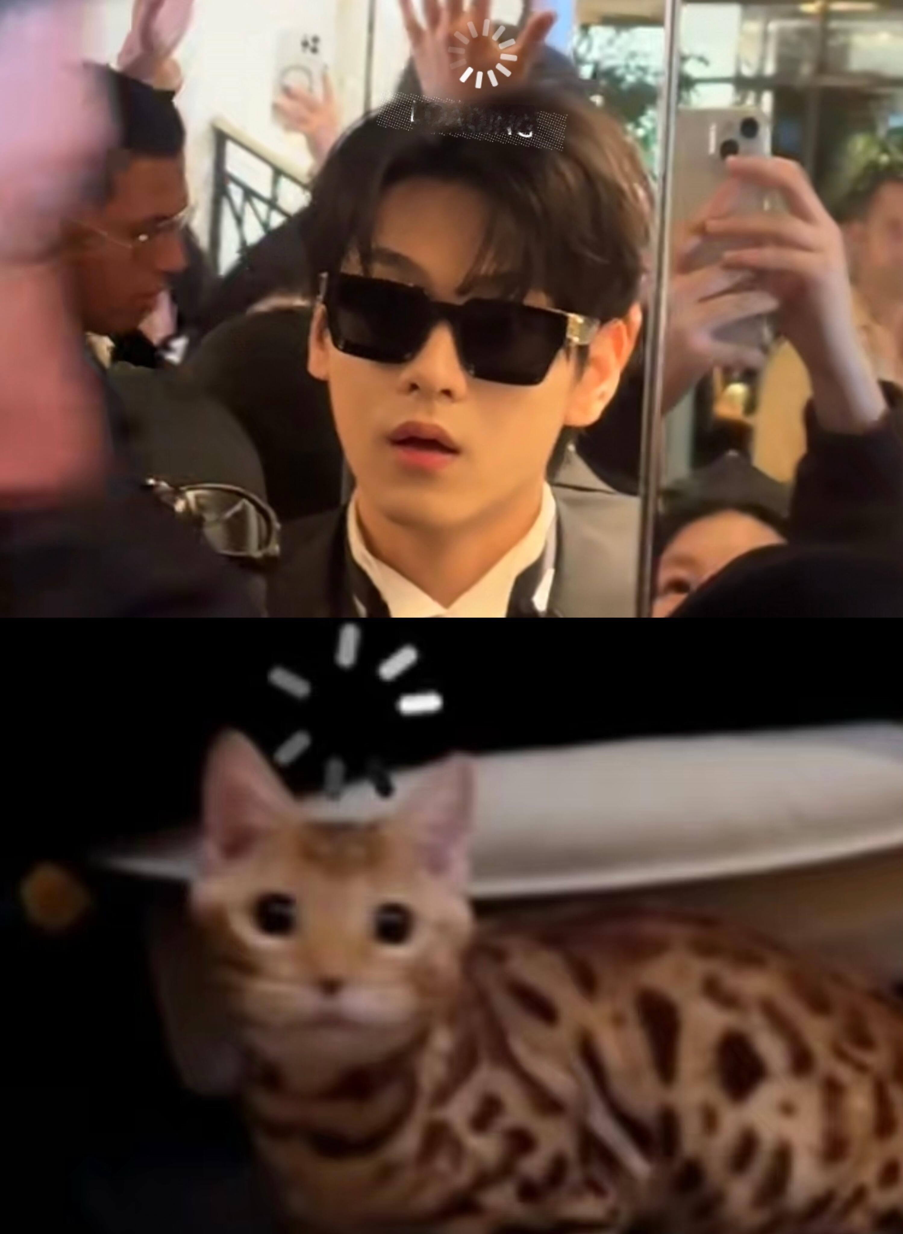大鱼是聪明猫！！！ 不允许你这么诋毁TA！！！ 