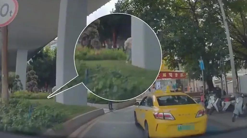 大家的担忧真成了现实！
有网友实拍印度人在中国马路边高架桥下拉屎，居然还

安排