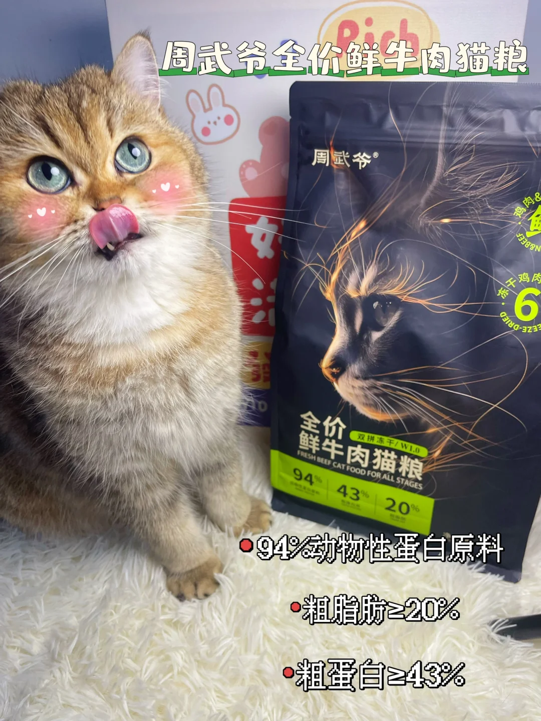 轻松拿捏挑食小猫的秘诀👉