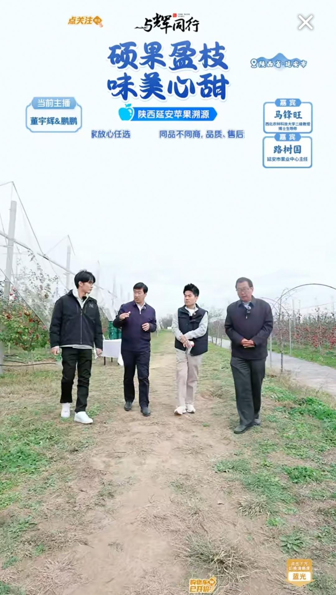 今天宇辉在延安苹果溯源，朋友们发现一个细节没有呢？

刚刚我看直播的时候，宇辉和