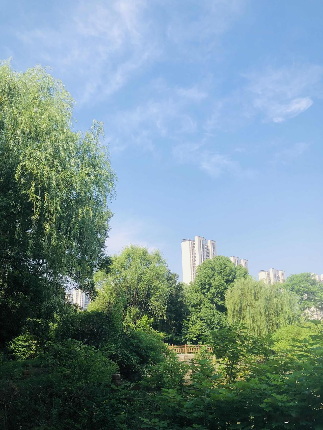 分享相册里随手拍的天空这是我前几天出门随手拍的照片，蓝天干净透亮，云彩轻飘飘的。