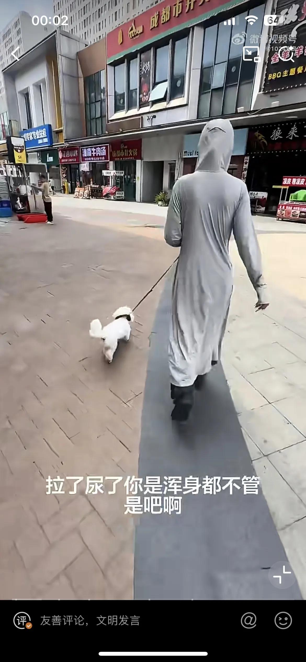 上海松江。
女子身穿长袍，牵着小狗走过商业街。小狗撒尿便便，女子并没有清理。路人