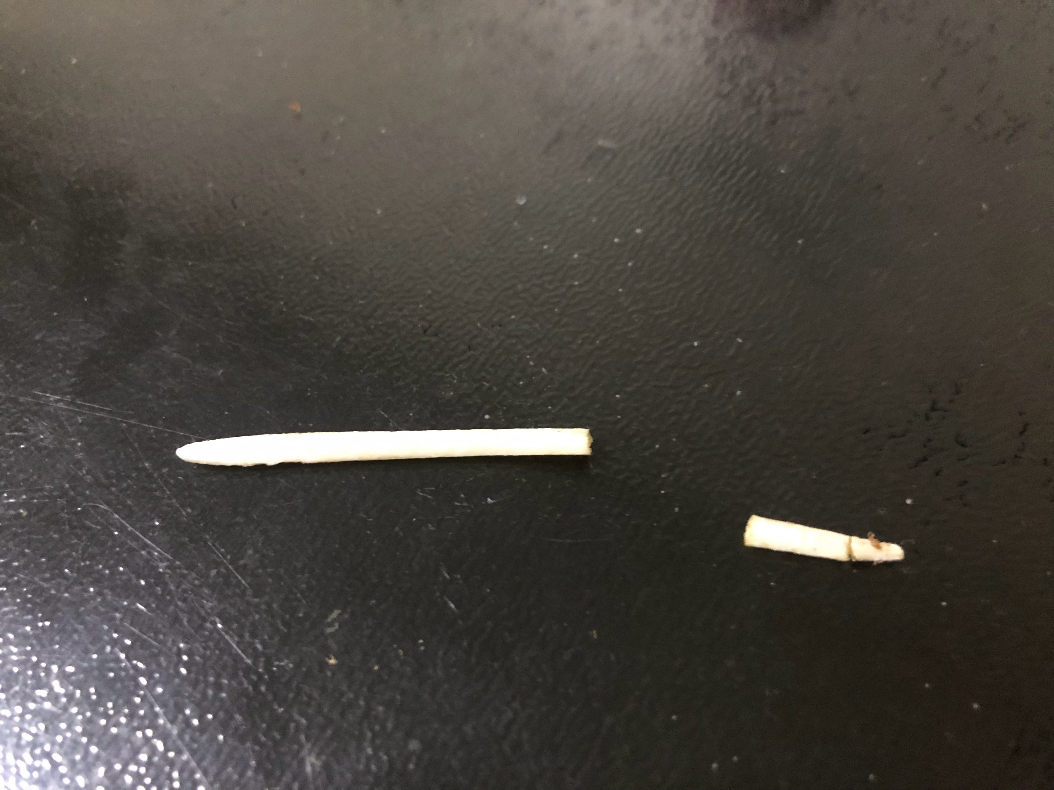 买的生牛肉，炖完以后切的时候发现里面有这个东西，谁知道是啥啊？两头都是尖的，像塑
