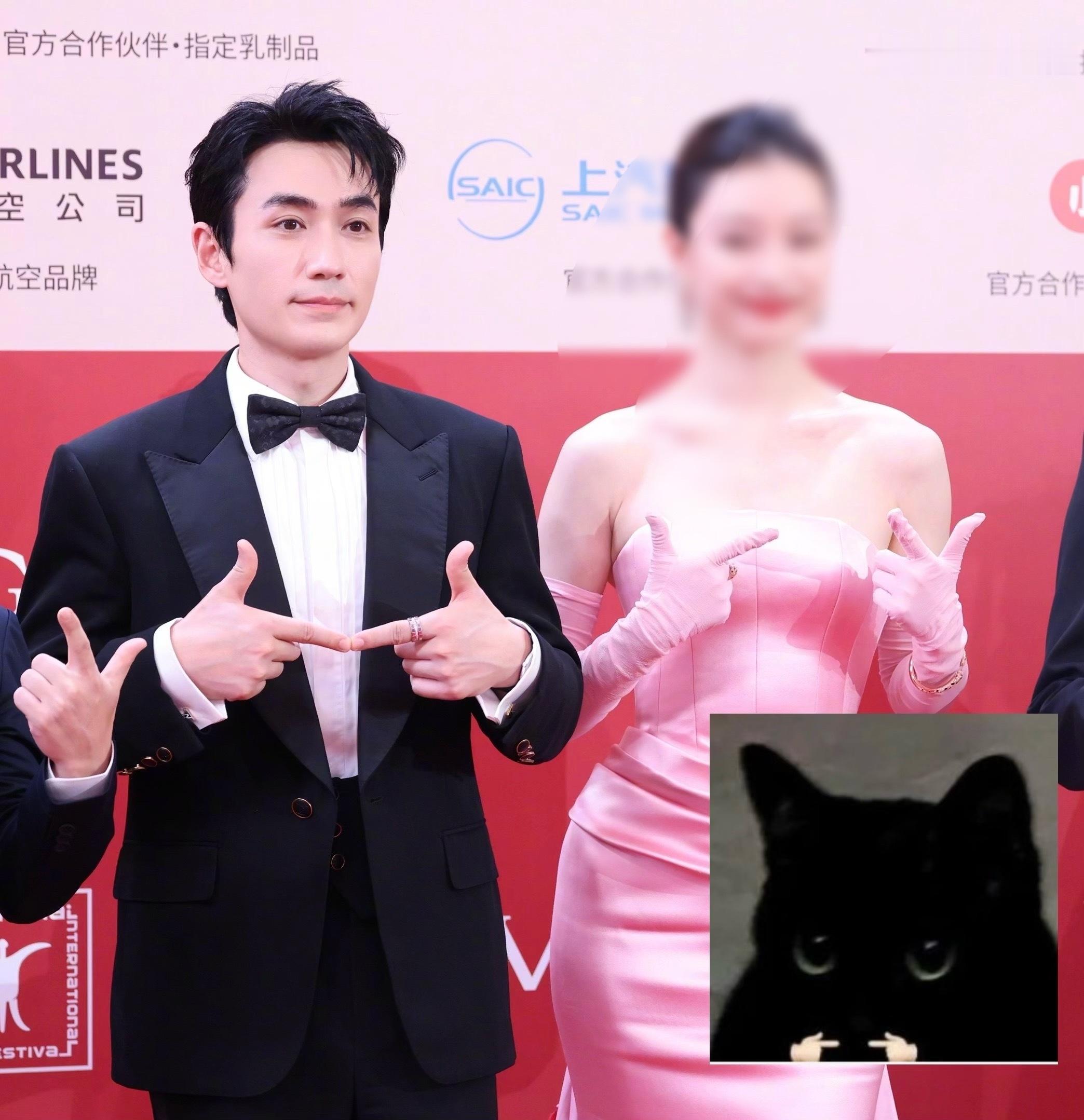 最喜欢这张黑猫🐈‍⬛手势 可代阿赑😊 ​​​