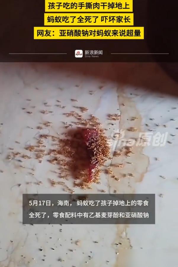 海南一孩子在家吃零食，随手掉落的一小块，家长随后发现，那些闻味而来偷吃的蚂蚁，在