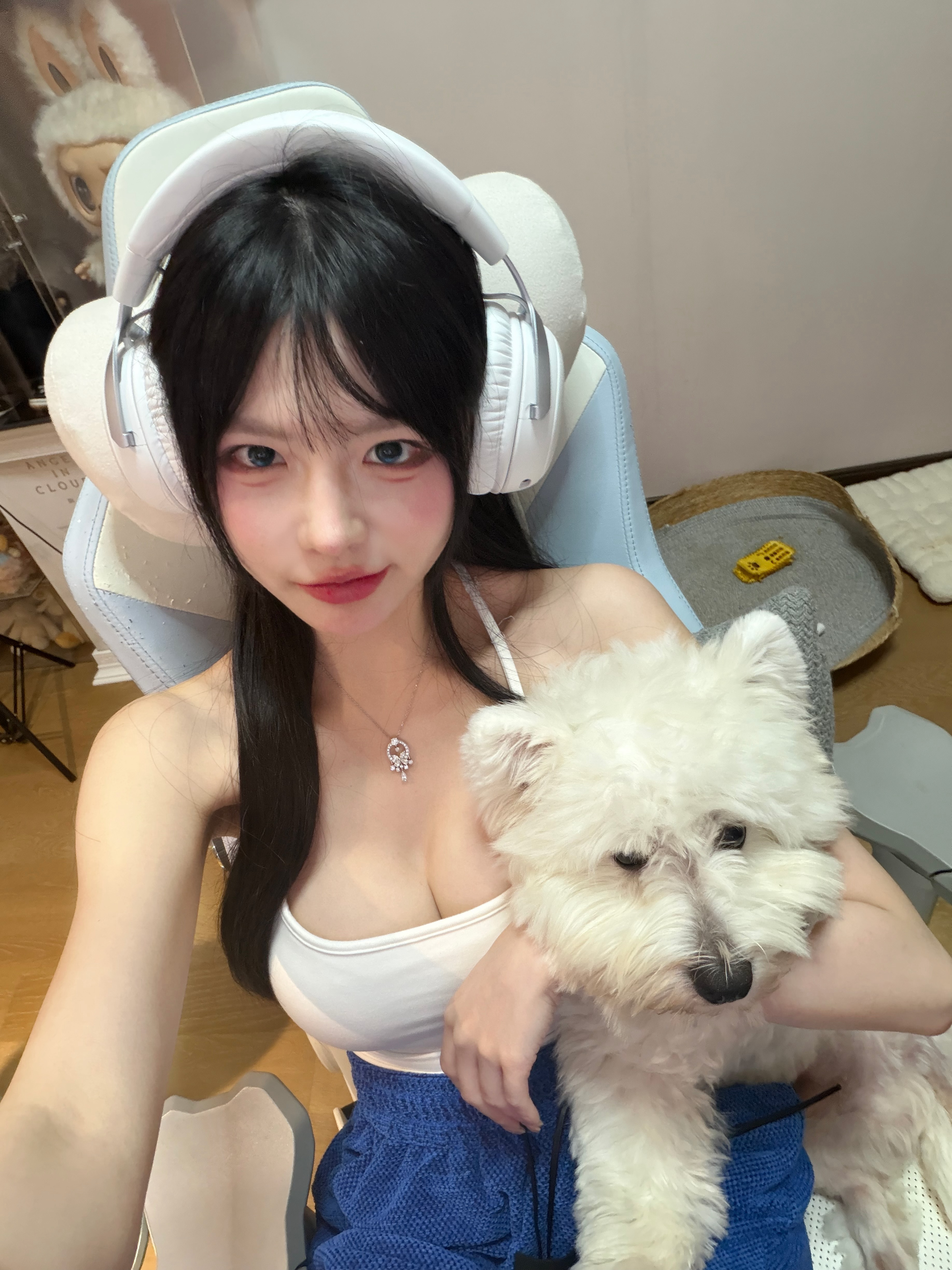 小狗勾你怎么不睡觉（这个卧蚕画的有点潦草了） 