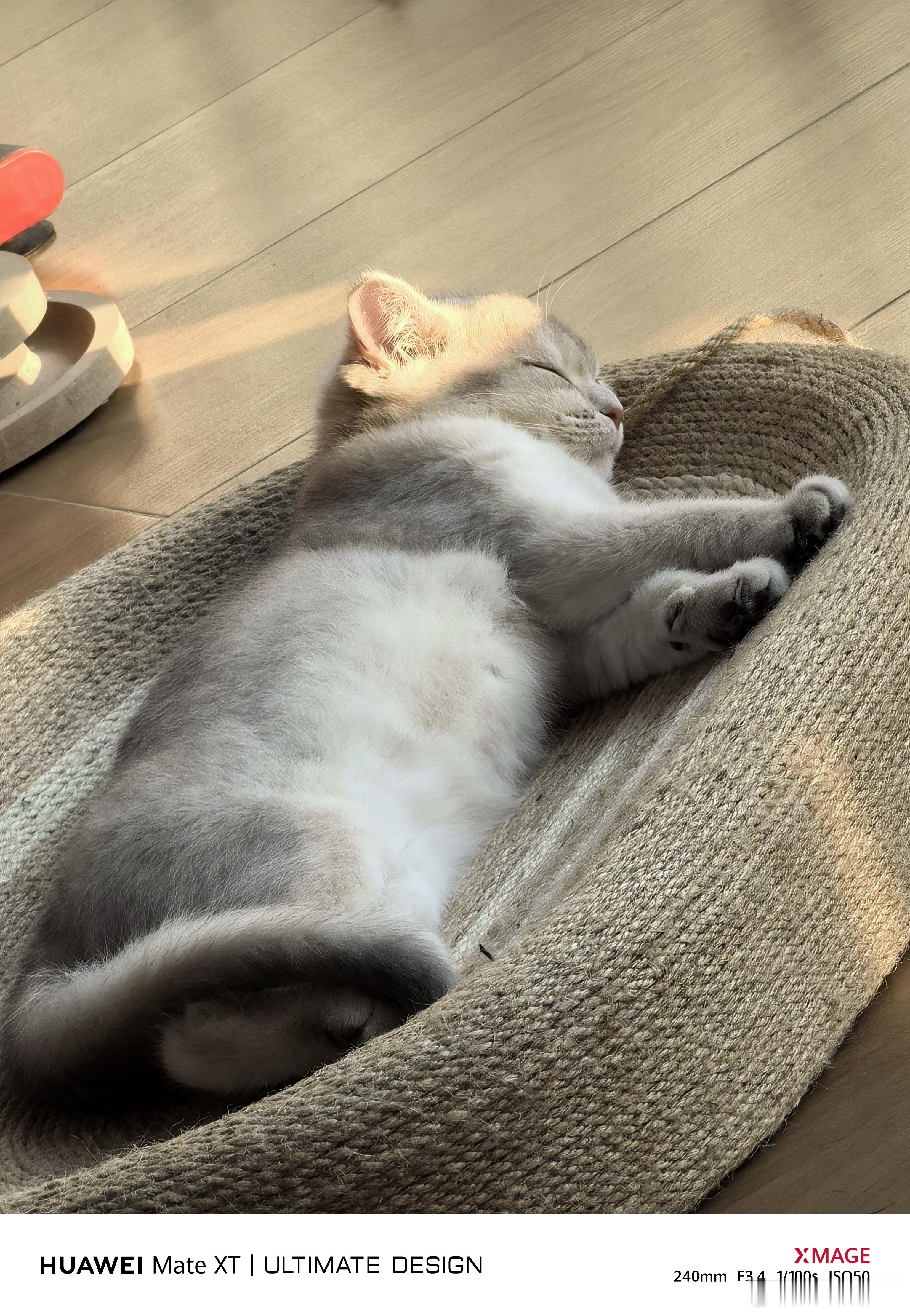 大年初一你们怎么过？我准备先睡个半天，不说了睡回笼觉去了！ 