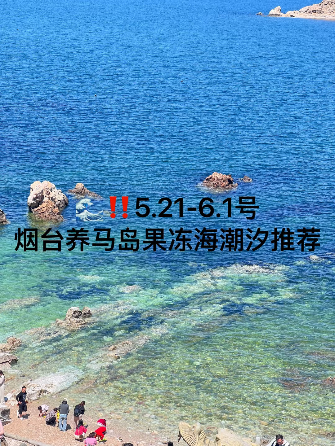 📍养马岛果冻海潮汐🌊5.21-6.1号时间推荐