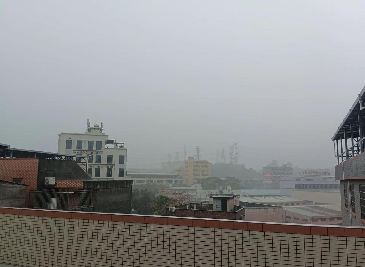 雷暴雨说来就来，地面的水洼映着灰蒙蒙的天，连远处的楼都隐进了雾里。这样的天气，适