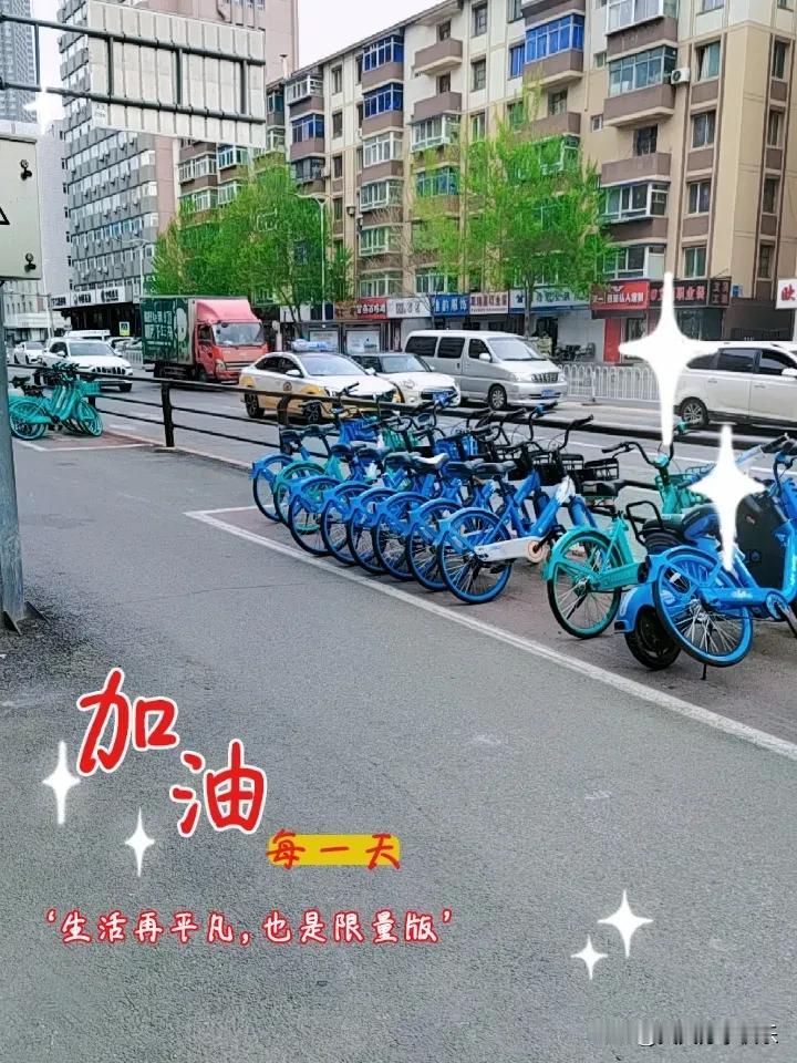 春日生活打卡季