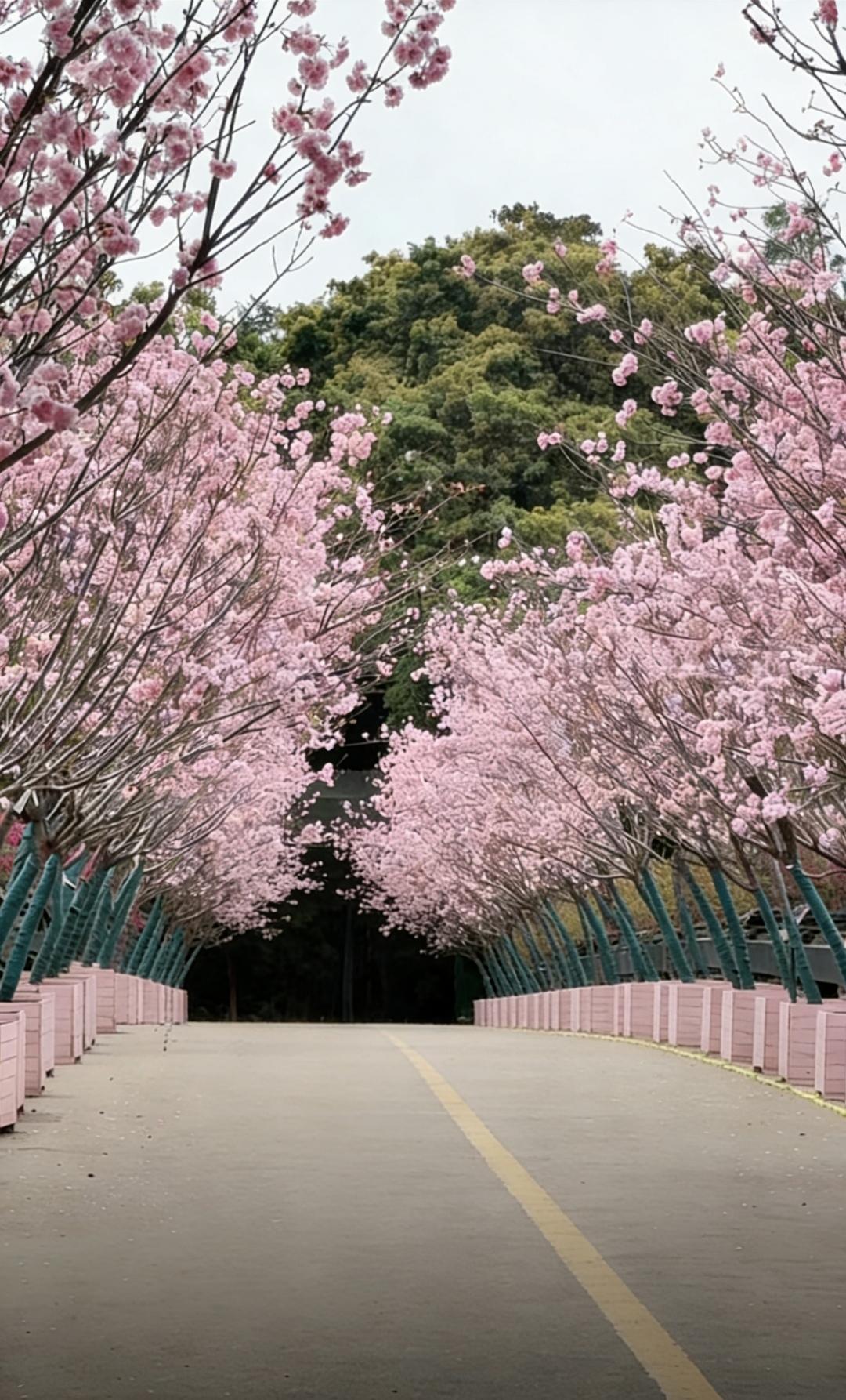 有没有好看的风景图片分享