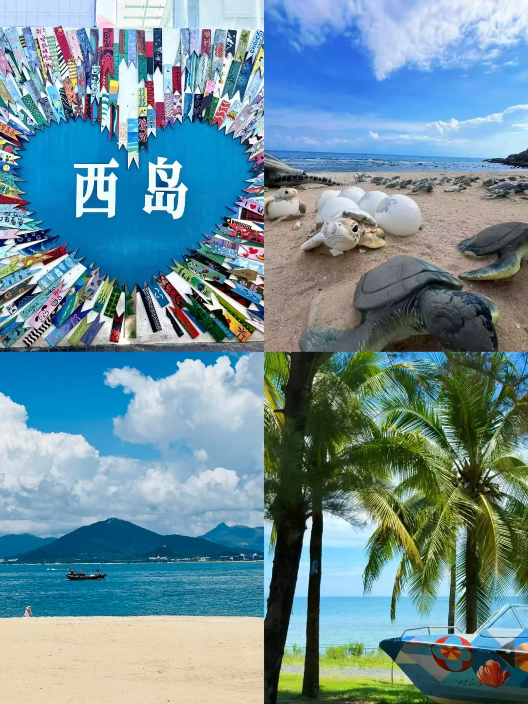 🌴西岛慢游必吃！老麦家簸箕饭治愈春节