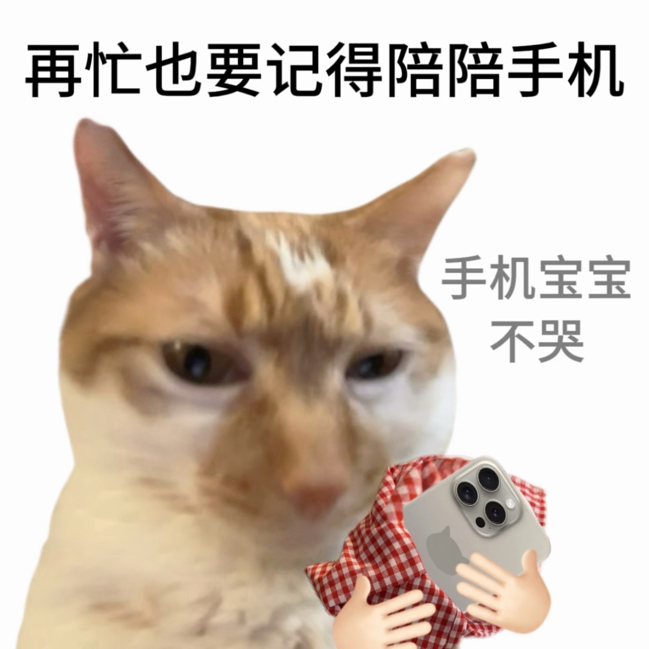 第一次见给手机放双休的人，高，老板周末找不到我我将这么告诉他…突然心疼冰箱了，烂