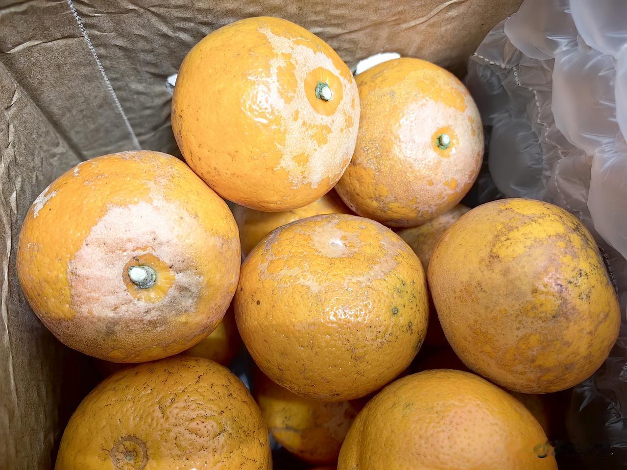 昨天网购的沃柑怎么是这种样子？花皮，果锈每个果子基本上都有，这个是什么原因，有懂