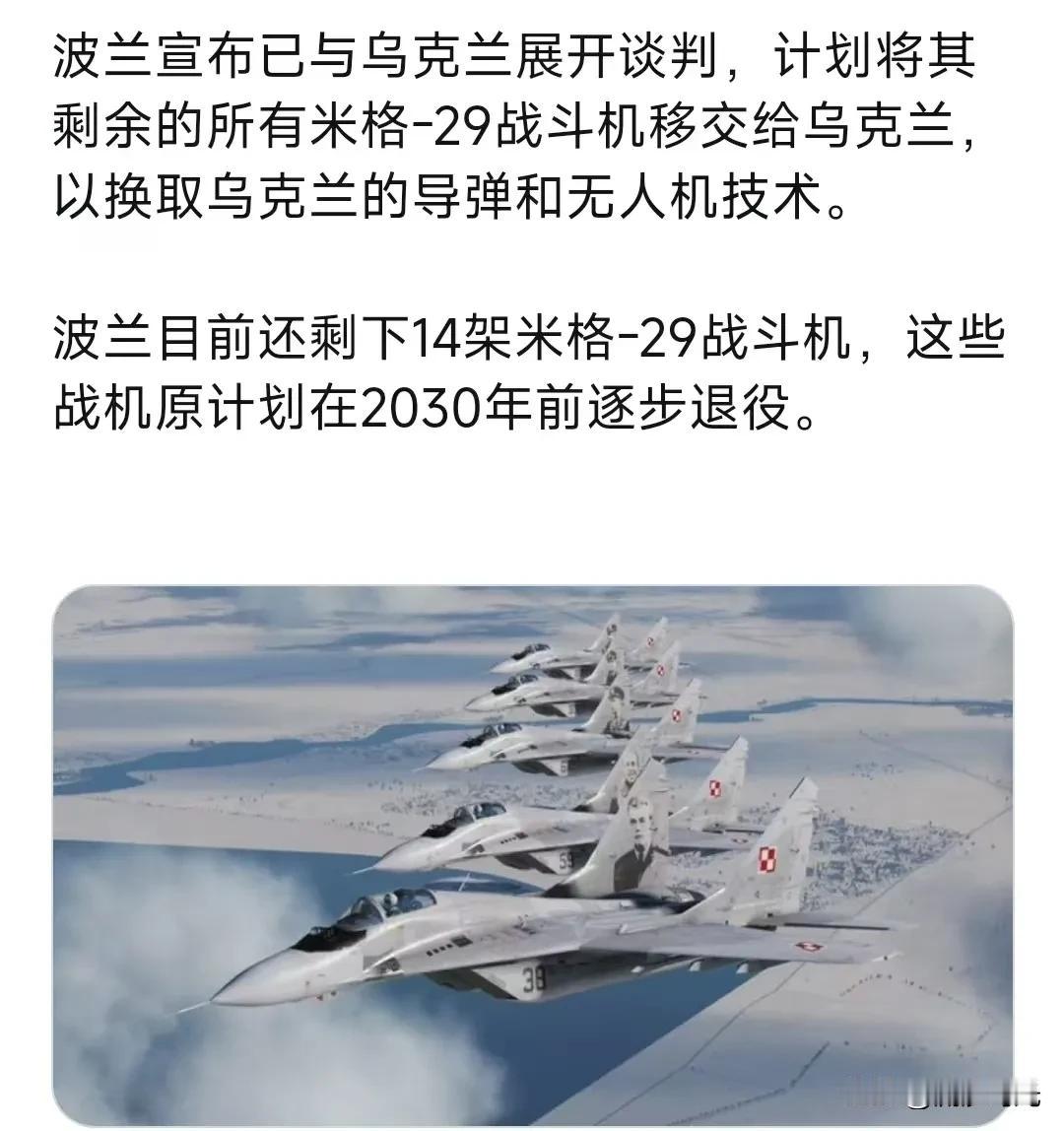 波兰宣布已与乌克兰展开谈判，计划将其剩余的所有米格-29战斗机移交给乌克兰，以换
