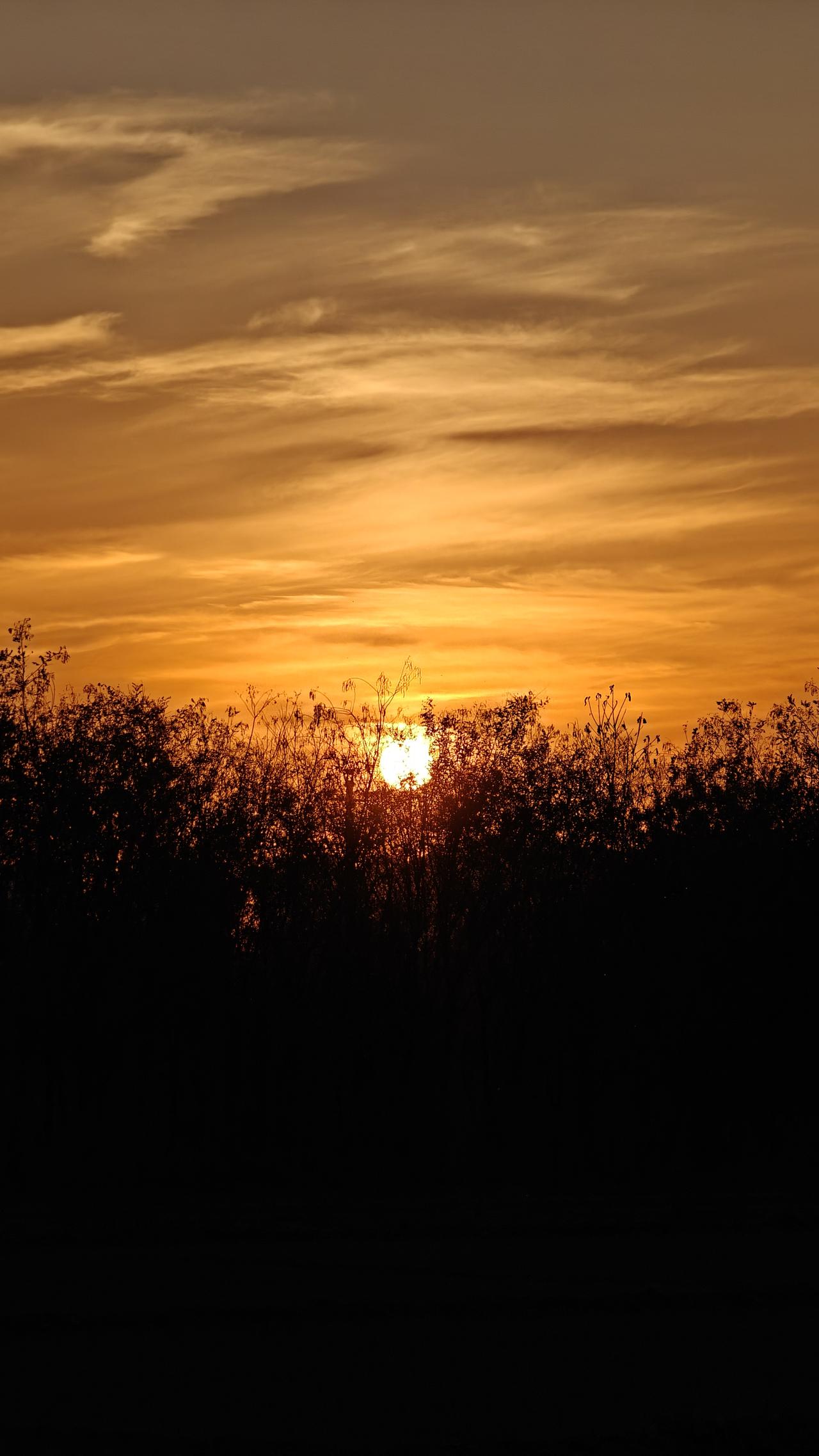 失业一年多，烂事缠身一年多，明白了一个道理：
那些磨人的坎，
其实都是渡你的船；