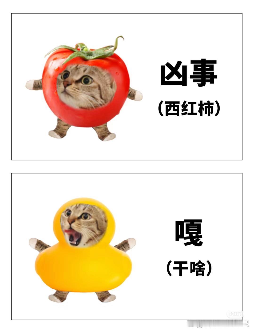 中国人有自己的连读小技巧 ​​​