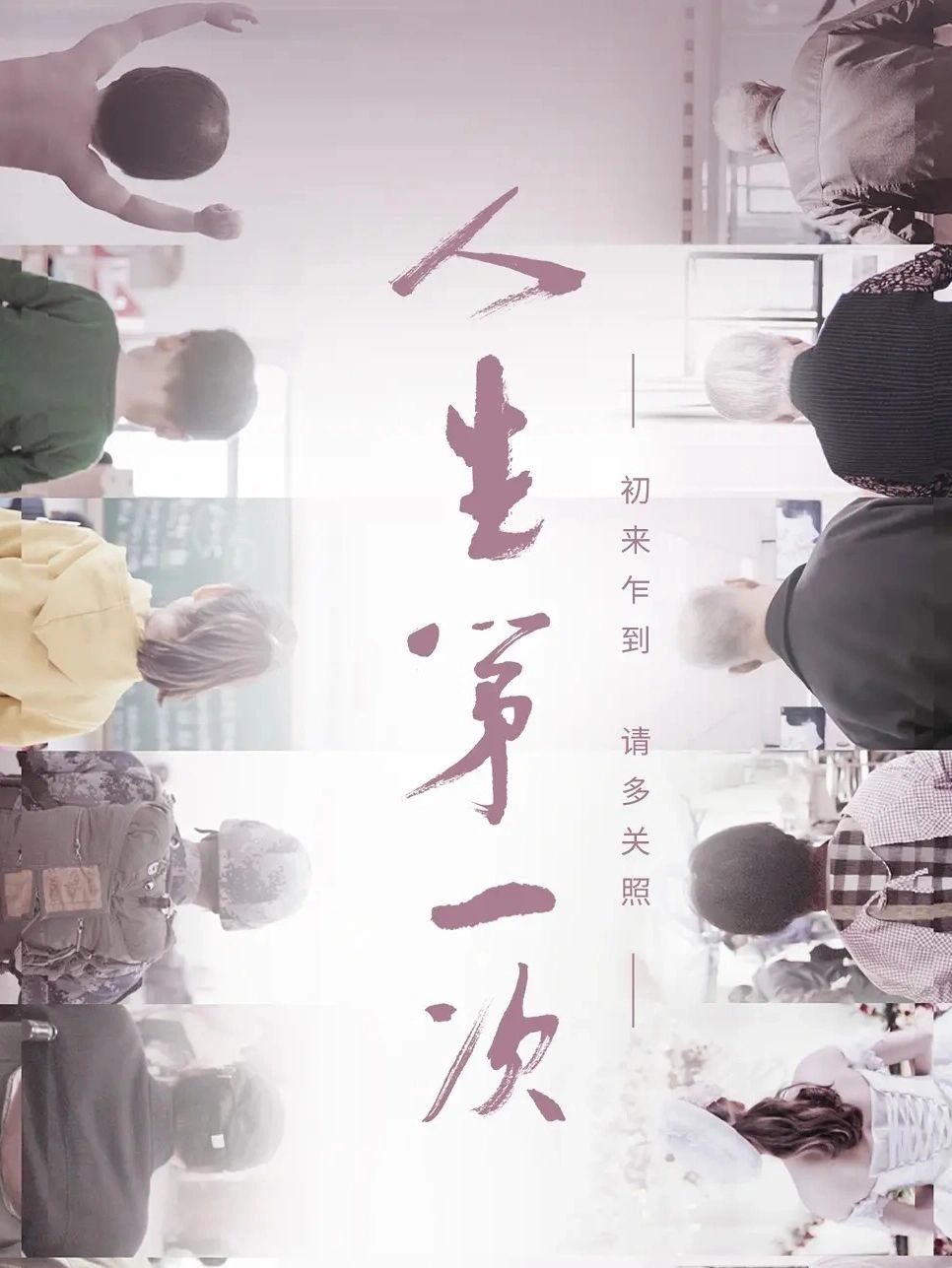 纪录片｜你正处于人生哪个阶段⁉️