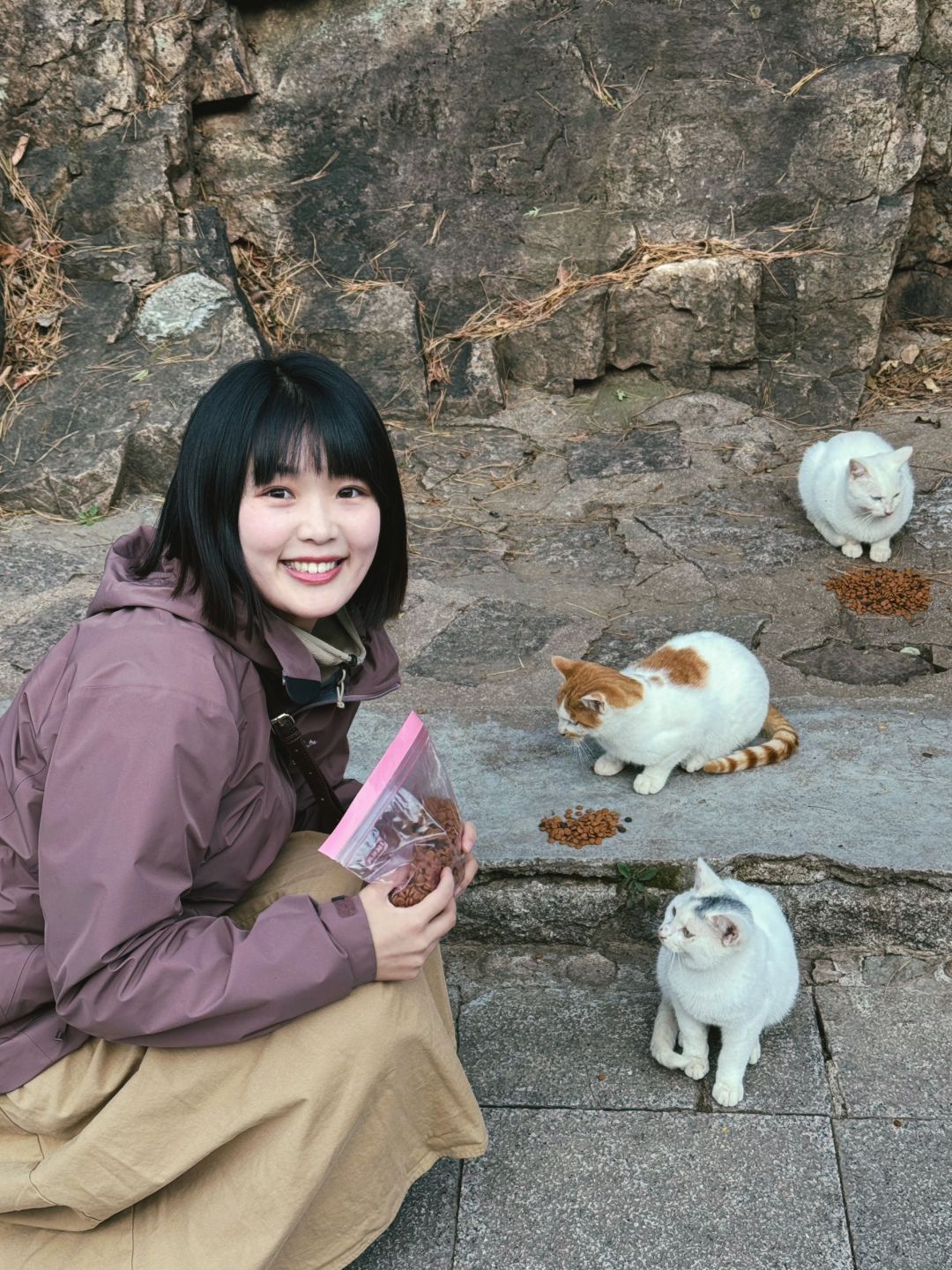 青岛现实版“猫猫山”真的太治愈了‼️（附攻略