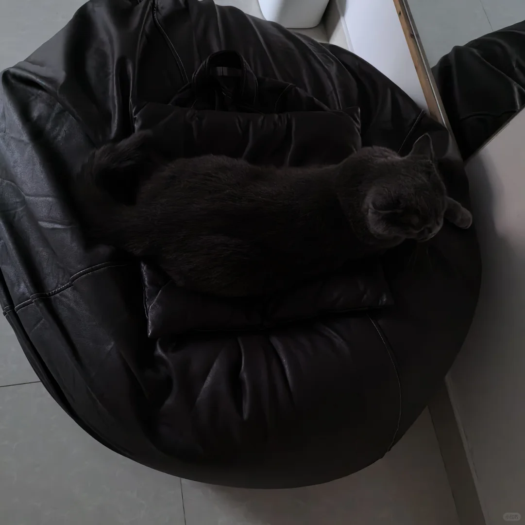 奶奶找猫找了一下午🤣
